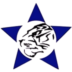 PT TIGER STAR INDONESIA