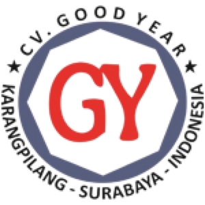 CV GOOD YEAR