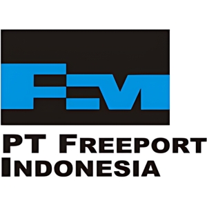 PT FREEPORT INDONESIA