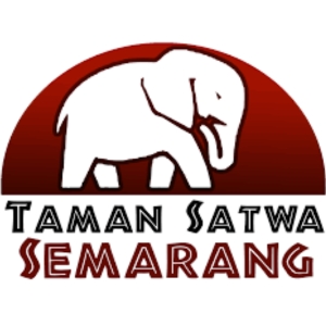 PT TAMAN SATWA SEMARANG
