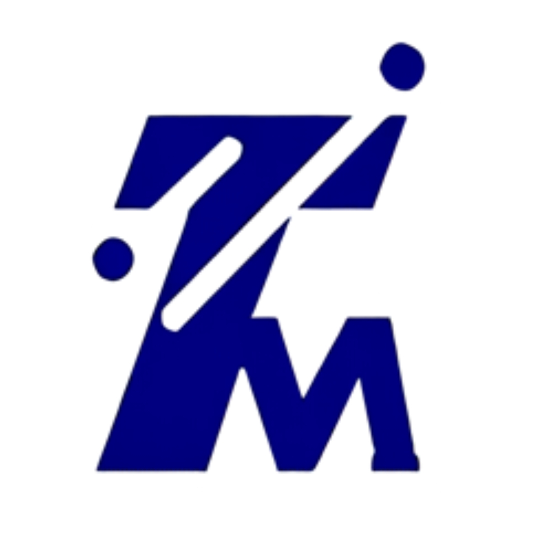 PT TT METALS INDONESIA