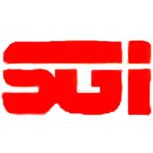 PT SPORT GLOVE INDONESIA