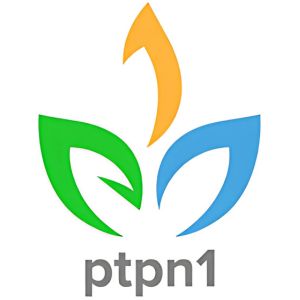 PT PERKEBUNAN NUSANTARA I