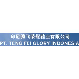 PT TENG FEI GLORY INDONESIA