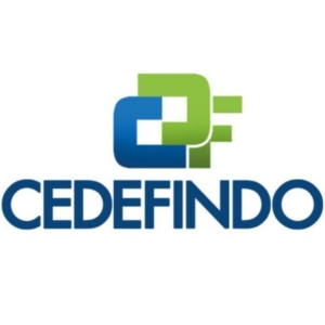 PT CEDEFINDO