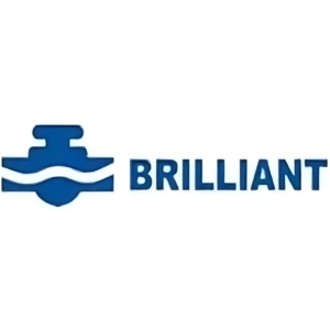 PT BRILLIANT FLOW CONTROL