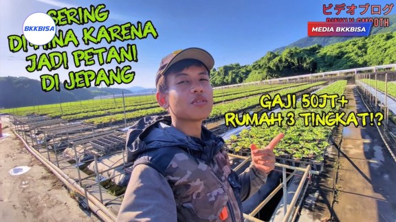 Sering Di Hina Karena Kerja Di Pertanian Jepang Tapi Gaji 50 Juta ?!?!