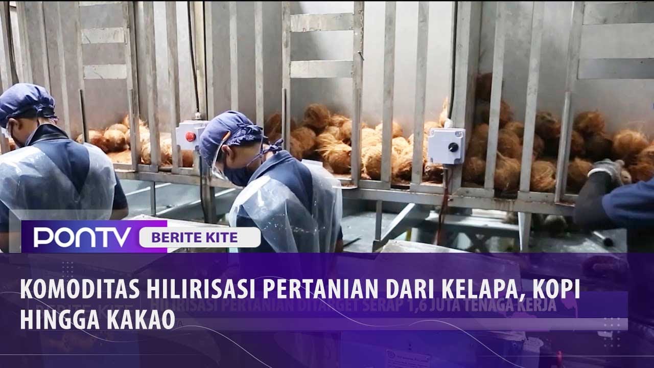Hilirisasi Pertanian Ditarget Serap 1,6 Juta Tenaga Kerja