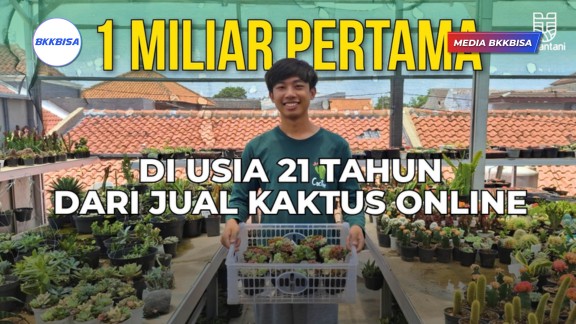 SATU MILIAR PERTAMA di Usia 21 Tahun dari Jualan Tanaman Kaktus dan Sukulen Online